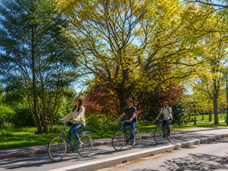 Victoria Hoods & Legends Bike Tour