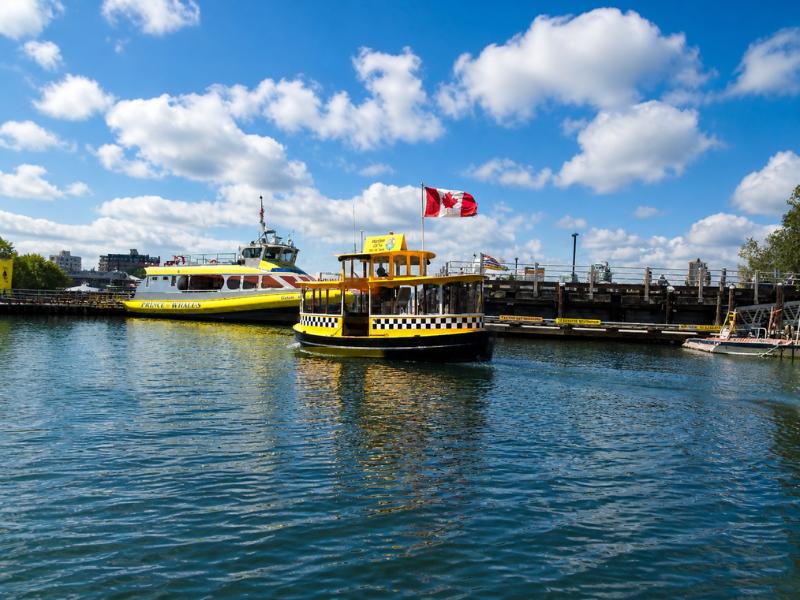 Victoria Inner Harbour Pickle Pub Crawl – Drinks & Good Times